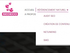 Les services SEO de SEDECO