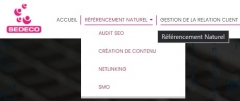 Les services SEO de SEDECO